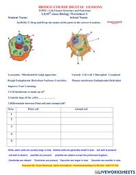 Maybe you would like to learn more about one of these? L4 10th Class Biology Worksheet 1 Worksheet