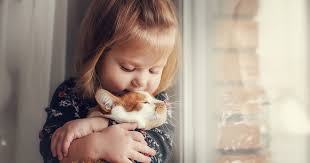 Hier findest du bilder von katzen + tipps zur haltung sowie ernährung + lustige sprüche #katzen #liebe. á… Katze Und Baby 15 Dinge Die Du Beachten Solltest