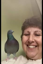 Shay Thompson Bird Video