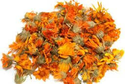 Maybe you would like to learn more about one of these? Top 6 Biggest Calendula Buyers In Canada