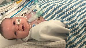 Fundraiser for Megan O'Donovan by aly karnatz : Help for Baby Bruce