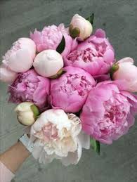 Hours may change under current circumstances Chareene Roach Chareene Profile Pinterest