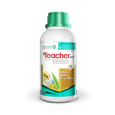 Teacher 400SC.