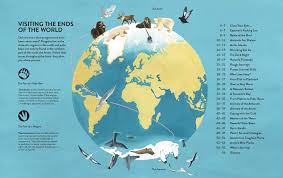1e music and personality cторінка 9. Penguins And Polar Bears An Introduction To The Arctic And Antarctic Gestalten Eu Shop