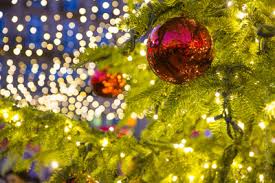 Pensez à réserver votre sapin pour gagner du temps et éviter la pénurie. Sapin De Noel Pas Cher Chez Ikea A 4 99