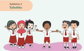 Ayo bacalah nama bagian tubuh manusia anggota badan tubuh manusia terdiri atas banyak bagian bagian yang bersatu padu membentuk satu kesatuan harmonis untuk melayani kebutuhan manusia. Rpp Baca Pintar