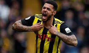 Perlawanan akhir bola sepak piala fa. Gray Bawa Watford Ke Separuh Akhir Piala Fa