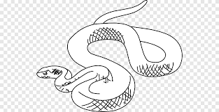 Snake Drawing Snake White Face Png Pngegg Choose your favorite snake face designs and purchase them as wall art, home decor, phone cases, tote bags, and more! snake drawing snake white face png