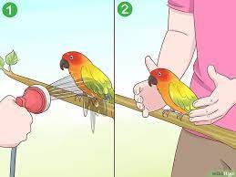 Gambar sketsa memiliki beberapa tujuan merekam dan mengembangkan gagasan untuk dipakai kemudian, atau menggambarkan singkat citra, gagasan atau prinsip. Kumpulan Mewarnai Sketsa Gambar Burung Lovebird Desain Interior Exterior