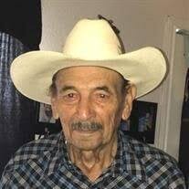 Julio Sosa Sr. Obituary