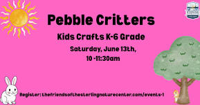 Pebble Critters K-6 Grade