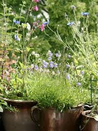 Wildblumen Auf Dem Balkon Wildblumen Auf Dem Balkon The Post Wildblumen Auf Dem Balkon Appeared First On Gartengestaltung I Gartencontainer Wildblumen Blumen