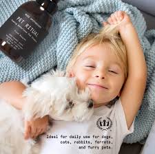 Muse Apothecary Waterless Foaming Dog Shampoo, Essential Oils Infused