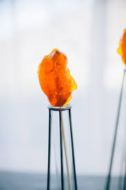 Bardstown, ky, us mar 1, 2021 0.00 mi manufacturing/production/operations flowers baking co. Mischief Maker Cakes Blog Sculpted Jurassic Park Cake In London Kentucky