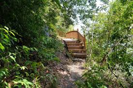 We did not find results for: Penang National Park Taman Negara Pulau Pinang Penang Island Destimap Destinations On Map