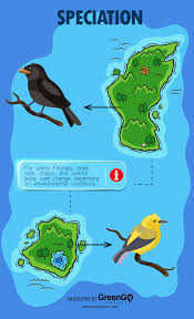 Sustainable Travel To The Galapagos Islands Tips Greengo Travel Galapagos Islands Sustainable Travel Galapagos