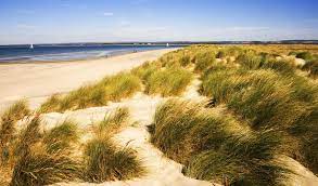 The Best Beaches Near London Uk Beach Guide