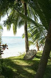 Hammock On Palm Trees Philippines Beach Traditional Hammock In Jungle At Edge O Spon Philippines Beaches Beautiful Places Nature Beautiful Places To Travel