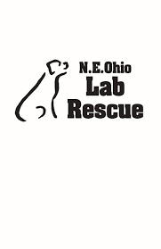 Trusted by 875,000 owners · 100 years of experience Pets For Adoption At Northeast Ohio Lab Rescue In North Jackson Oh Petfinder