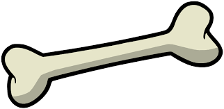Dog Bone Png 800 390 Cartoon Dog Clip Art Cartoon Clip Art