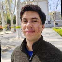 60+ "Armando" profiles