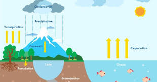 Pin On Science Illustration