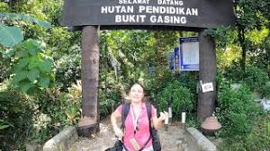 Peranan teknologi dalam dunia pendidikan. Regenwald Wanderung Bukit Gasing In Kuala Lumpur Youtube
