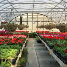 The city is known for a thriving music and art scene. Howard Pine S Garden Center 9106 1320 N 3rd St Lawrence Ks 66044 Usa