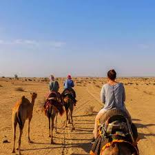This inside lid is very thin. Camel Safari Tour Package Of Rajasthan Rajasthan Camel Safari Tour Desert Safari Tour