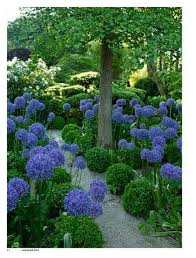 Summerland Homes Gardens Blue White In The Garden Plants Beautiful Gardens Gorgeous Gardens