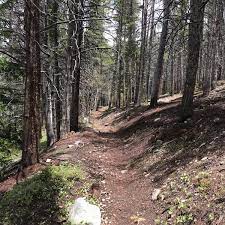 Photos At Burro Trail Breckenridge Co