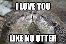 40 I Love You Memes For Him And Her Freshmorningquotes