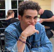 Cameron boyce, who suffered from epilepsy, died in 2019 due to a seizure — details. Eindringliche Letzte Foto Von Cameron Boyce Als Seine Familie Offnen Am Tragischen Letzten Stunden Aktuelle Boulevard Nachrichten Und Fotogalerien Zu Stars Sternchen