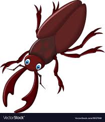 He quickly picked up 100 newspapers. Cartoon Cartoon Beetle