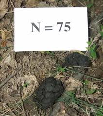 We did not find results for: Deer Pelletology