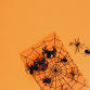 Creepy Crawly Fun: All About Spiders event image
