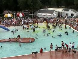 Check spelling or type a new query. City Of Fort Collins Pooch Plunge 2007 Youtube
