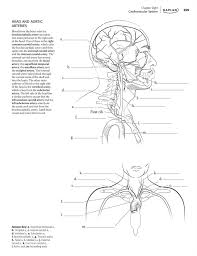 With student consult access, 2e (netter basic. Anatomy Coloring Book Mccann Stephanie Wise Eric 9781618655981 Books Amazon Ca