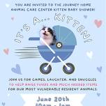 Kitten Baby Shower