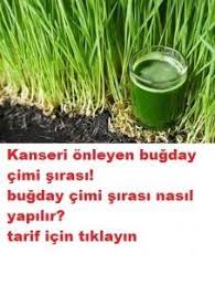 Pin On Kanser