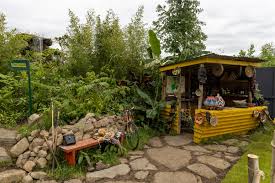 Image result for Rubus kirungensis