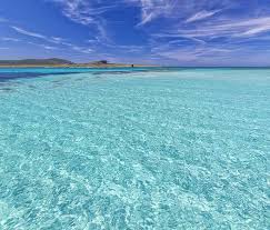 A place of great natural beauty, unspoilt by development, it became one of italy's 24 national parks in. Asinara Sail Experience Stintino Aktuelle 2021 Lohnt Es Sich Mit Fotos