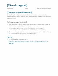 Rapport De Synthese