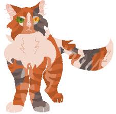 With All The Hype Around These Warrior Ocs I Made One Too Sorry If It Looks Weird I Don T Draw Much Lol Warriorcats Calico describes not a particular breed of cat, but rather a certain pattern of cat including any three colors — white, cream. hype around these warrior ocs