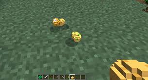 · press the windows key (start) · type in %appdata% and press enter. Vanilla 3d Items Mod 1 6 4 1 6 2 1 5 2 Mod Minecraft Net