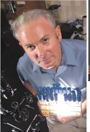 Putting evo-devo into focus