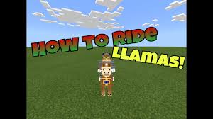 How to ride a llama in minecraft. How To Ride Llamas In Minecraft Pe Youtube