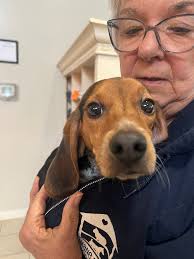 Family picked up this morning still