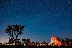 It was designed to conduct closeup scientific observations of mars and to transmit these observations to earth. Perseid Meteor Shower 2020 Five Tips For The Best Meteor Photos