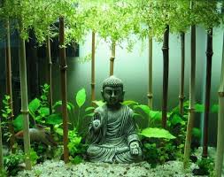 Deko Fur Aquarium Selber Machen 30 Kreative Ideen Aquarium Einrichten Aquarium Aquarium Design